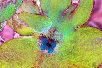 F 012B